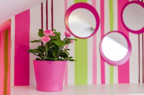 Bed & Breakfast 2 Chambres D'h�te Proche Lille Gare