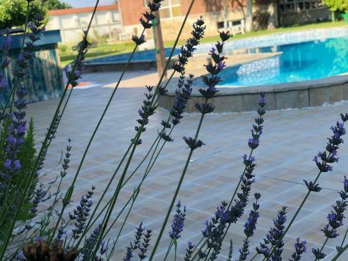 Villa Galeria In The Garden