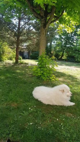 Bed & Breakfast Le Clo�tre Saint-liphard