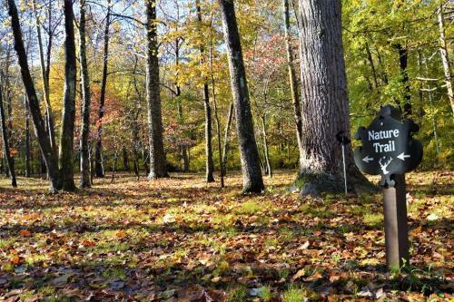 Hostal Shadow Mountain Escape Cabin Rentals