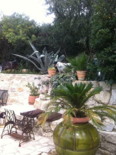 Apartamento Tr�s Belle Maison De Vacances