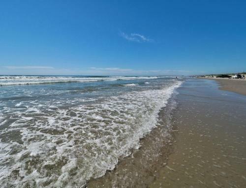 Beach Bum's Retreat Cbc162k