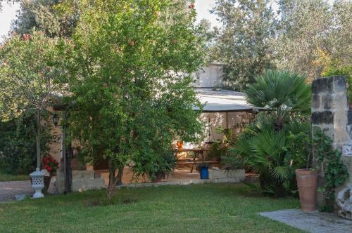 Alba Bed & Breakfast