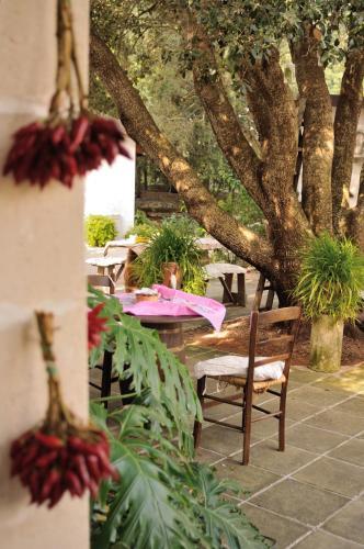 Alba Bed & Breakfast