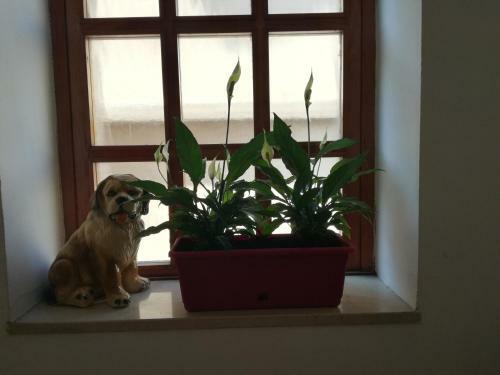 Hostal Bergamo & Dintorni