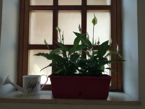 Hostal Bergamo & Dintorni
