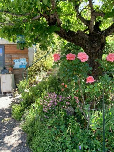 Apartamento Le Petit Soleil