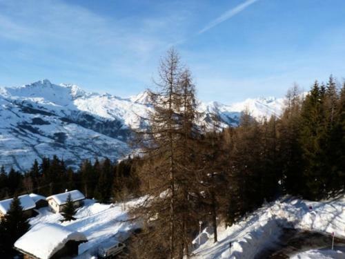 Apartamento R�sidence Ruitor Arc - Studio 28