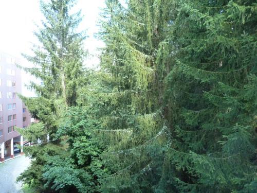 Apartamento R�sidence Nova - Studio Pour 3 Personnes 19