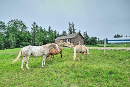 Historic Cottage On Horse Farm Firepit And Bbq
