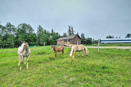 Historic Cottage On Horse Farm Firepit And Bbq