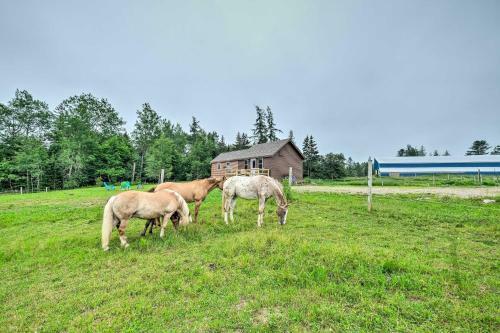 Historic Cottage On Horse Farm Firepit And Bbq