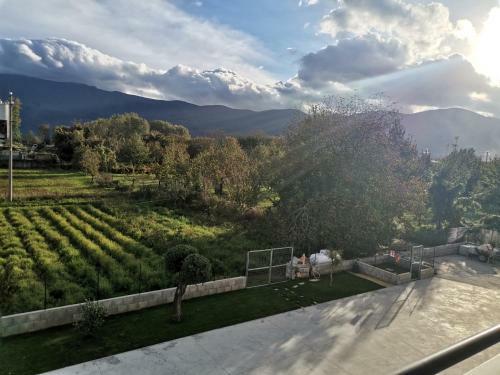 Bed & Breakfast Montesarchiorooms