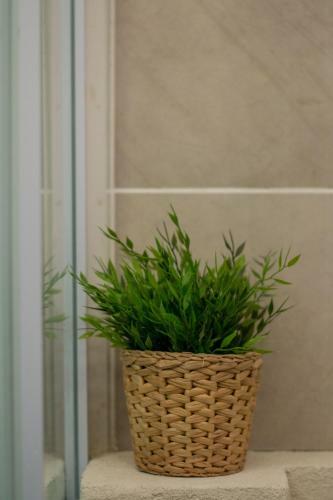Apartamento Sweet Home Dijon Nodot