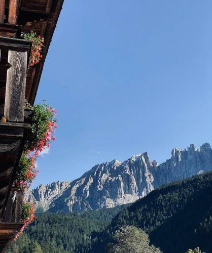 Hotel Stern B&B & Suite Apartments