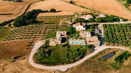 Agroturismo Agriturismo Colle Oliveto