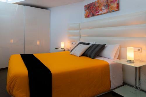 Apartaments Y Habitacions Entre Volcans
