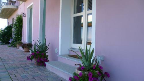 Domus Langhe B&B