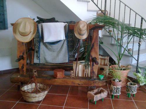 Agroturismo Alba Chiara Agriturismo