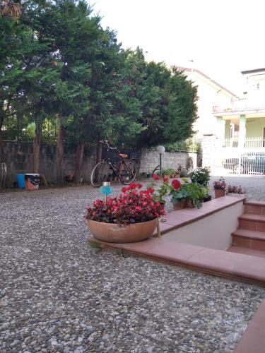 Apartamento Casa Mia - Marina Di Ascea -