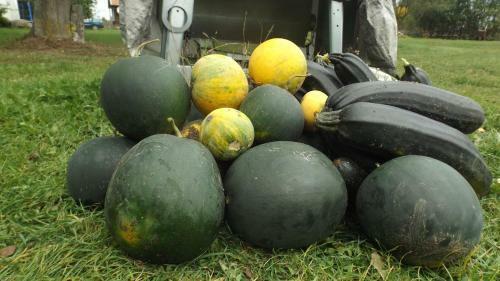 Gospodarstwo Agroturystyczne ,,przy Siole''