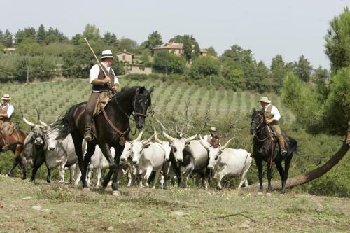 Agroturismo Agriturismo La Forra