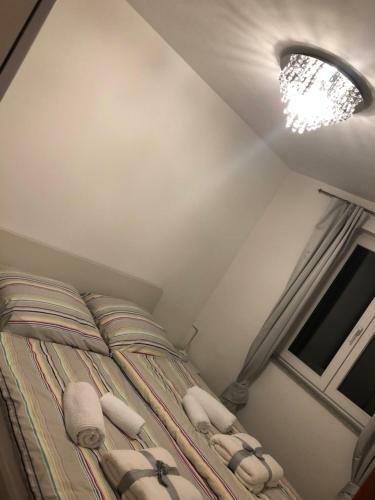Apartment Three Lions