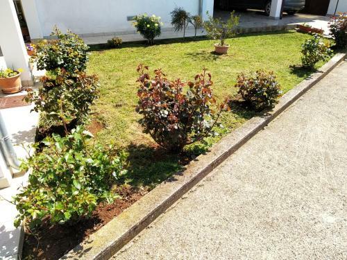 Apartman Ulika