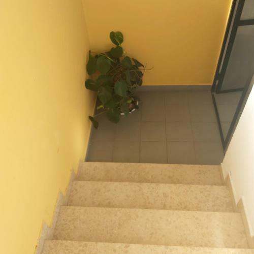 Apartamento Suzana Beautiful Balcony Sea View