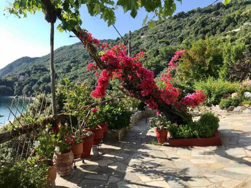 Daenerys Home In Agios Ioannis Papa Nero