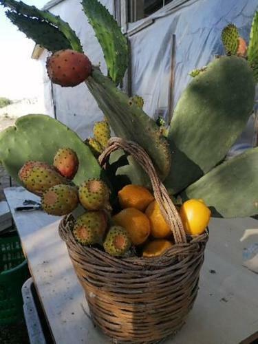 Apartamento Tenuta Case Valenti Palmento Cuba