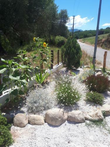 Apartamento Casa Vacanza Degli Angeli - Cilento
