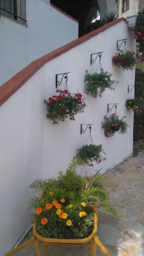 Apartamento Casa Vacanza Degli Angeli - Cilento