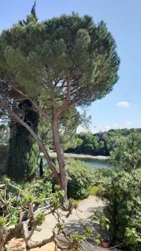 Le Jardin