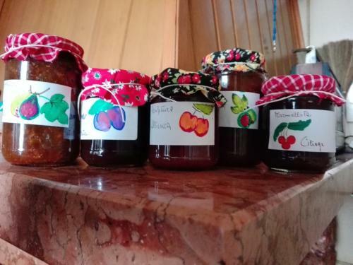 Agroturismo Fattoria Di Rigone