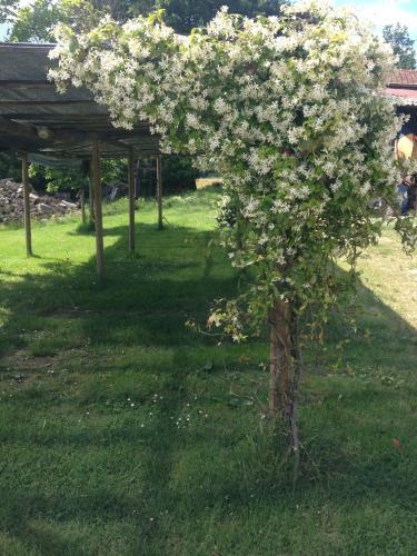 Agroturismo Fattoria Di Rigone