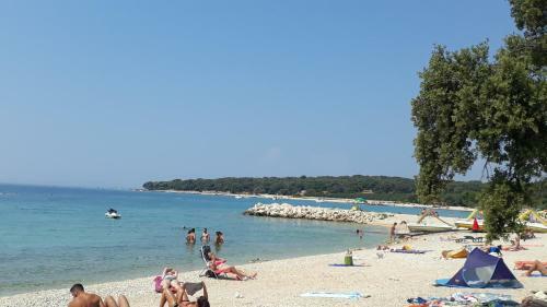 Apartman Roko
