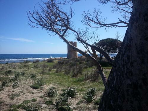 Apartamento Phiniscollis Appartamento