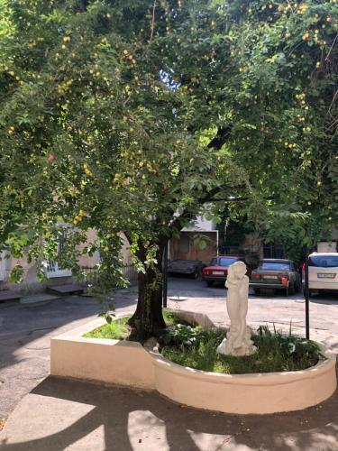 Botanical Buddha Apartments ?? ????????????? ????? ????? ???????? ? ????? ????????