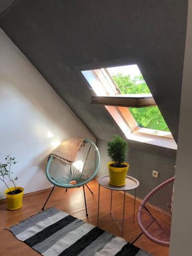 Botanical Buddha Apartments ?? ????????????? ????? ????? ???????? ? ????? ????????