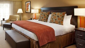 Hotel Best Western Jamaica Bay Inn