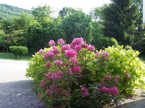 Bed & Breakfast Aux 4 Saisons