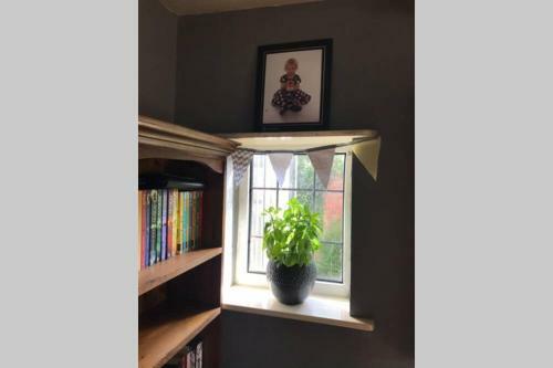 Entire Character House, Beautiful Sleeps Upto 8