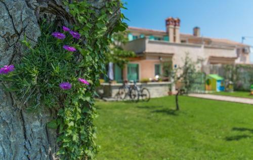 House Ulika - Freshly Renovated, Unique Rural Style