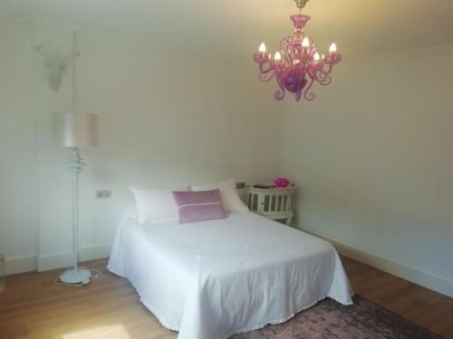 Apartamento C�ntrico Y Amplio Piso Con Plaza Parking
