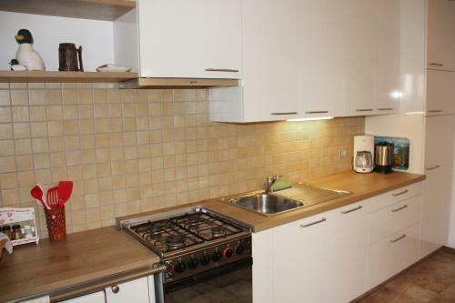 Apartment Weissenegger