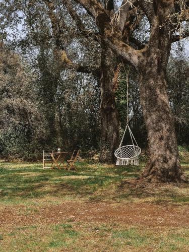 Mas Cal Carreter, Take A Break - Slow Living