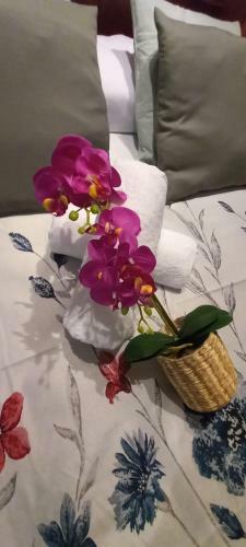 Apartamento El Encanto De La Fueya
