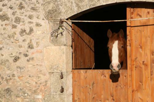 Bed & Breakfast Mas Des Clauzals