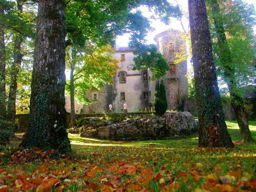 Bed & Breakfast Ch�teau Du Cros